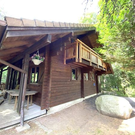 Le Renard Chalet En Bois La Bresse Exterior photo