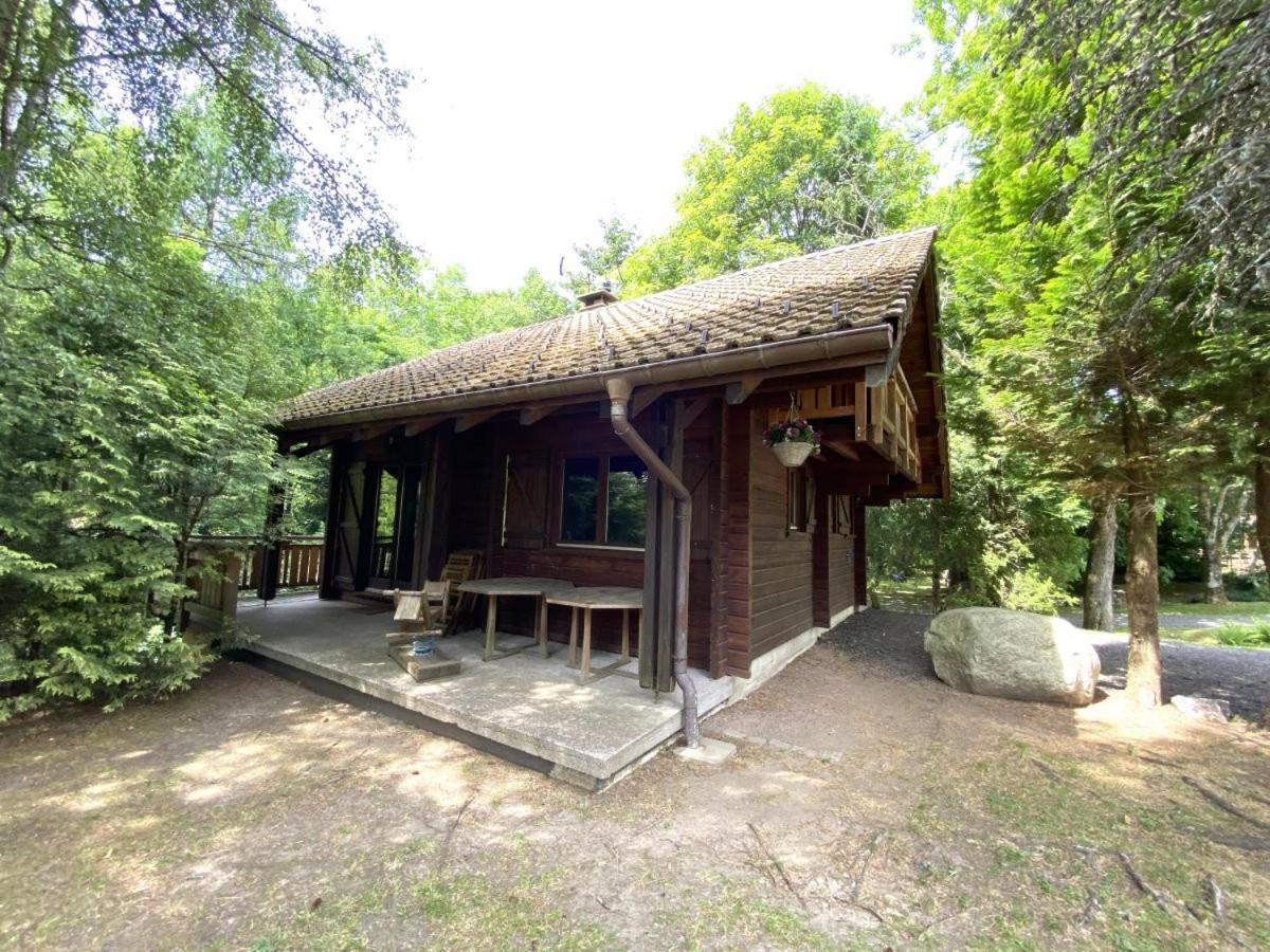 Le Renard Chalet En Bois La Bresse Exterior photo
